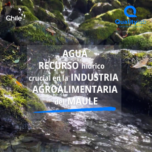 Agua: recurso hídrico crucial en la agroindustria del Maule